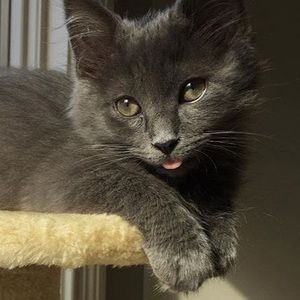 Meet your Posher, Brooke